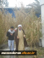 مراسم گرامی داشت یاد وخاطره 29  شهید دانشجو معلمان دانشگاه فرهنگیان پردیس شریعتی ساری 2