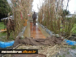 مراسم گرامی داشت یاد وخاطره 29  شهید دانشجو معلمان دانشگاه فرهنگیان پردیس شریعتی ساری 7