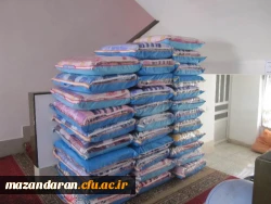 گزارش تصویری دوره آموزشی فرهنگی و اجتماعی دانشجویان ماده 28 - مرداد 95 - مازندران ساری 14