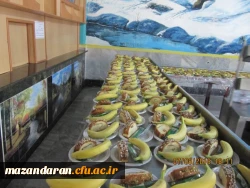 گزارش تصویری دوره آموزشی فرهنگی و اجتماعی دانشجویان ماده 28 - مرداد 95 - مازندران ساری 3