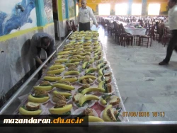 گزارش تصویری دوره آموزشی فرهنگی و اجتماعی دانشجویان ماده 28 - مرداد 95 - مازندران ساری 4