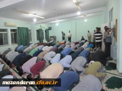 گزارش تصویری دوره آموزشی فرهنگی و اجتماعی دانشجویان ماده 28 - مرداد 95 - مازندران ساری 6