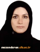 اعضا هیئت علمی دانشگاه 4