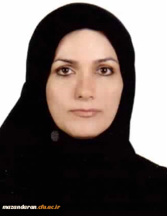 اعضا هیئت علمی دانشگاه 4