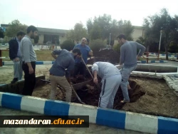 آماده سازی جایگاه مسافر بهشتی به روایت تصاویر 6