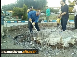 آماده سازی جایگاه مسافر بهشتی به روایت تصاویر 8