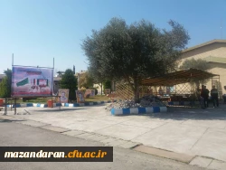 آماده سازی جایگاه مسافر بهشتی به روایت تصاویر 9