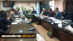 برگزاری دومین جلسه کمیته استانی هیات امنای دانشگاه فرهنگیان مازندران  4