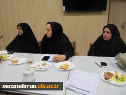 دومین جلسه کارگروه کارورزی استان 2