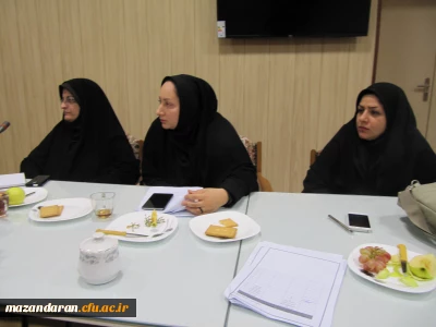 دومین جلسه کارگروه کارورزی استان