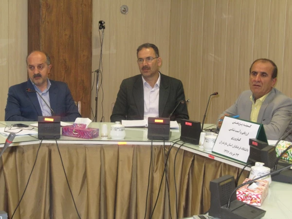 کمیته آسیب شناسی کارورزی