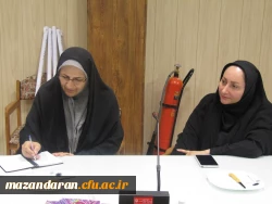 جلسه بررسی عملکرد شوراها و کمیته ها استان