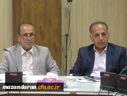 جلسه بررسی عملکرد شوراها و کمیته ها استان