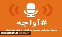 پیام های صوتی کوتاه مدت مدیریت بالندگی حرفه ای منابع انسانی