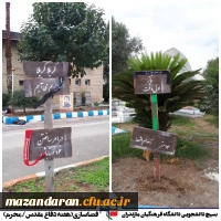 به روایت تصویر:
گرامیداشت هفته دفاع مقدس دانشگاه فرهنگیان مازندران