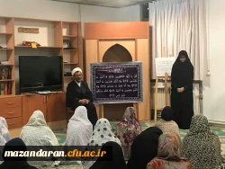 خاطره گویی سفر دانشجویی کاروان پیاده اربعین به کربلا مرکز حضرت فاطمه (س) قائمشهر