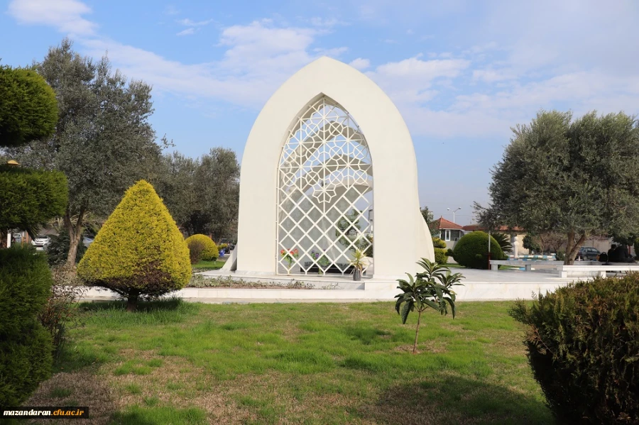 دانشگاه از قاب دوربین