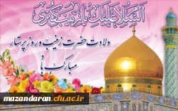 ولادت باسعادت حضرت زینب کبری (س) و روز پرستار مبارک باد 2