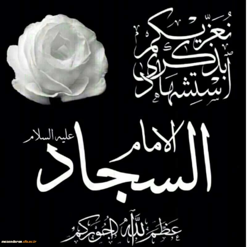 شهادت حضرت سید الساجدین زین العابدین (ع) ، وارث نهضت عاشورا تسلیت باد 2