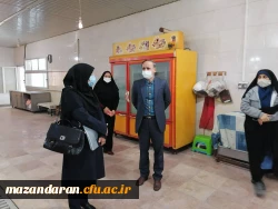 بازدید معاون مدیر کل خدمات آموزشی و مدیر کل تربیت بدنی معاونت دانشجویی 5