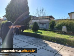 مسابقات ورزشی کارکنان خواهر دانشگاه فرهنگیان استان مازندران 5