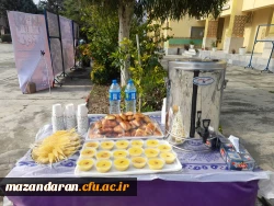 جشنواره اقوام مازندران 8