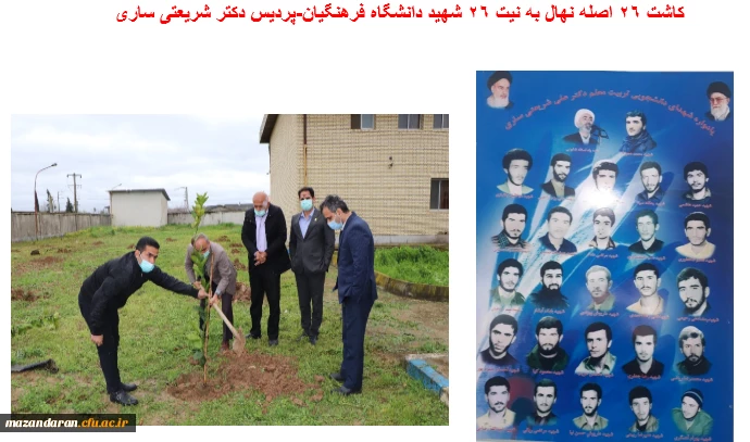 کاشت 26 اصله نهال به نام 26 شهید دانشگاه فرهنگیان- پردیس دکتر شریعتی ساری به مناسبت روز درختکاری 2