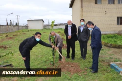 کاشت 26 اصله نهال به نام 26 شهید دانشگاه فرهنگیان- پردیس دکتر شریعتی ساری به مناسبت روز درختکاری 3
