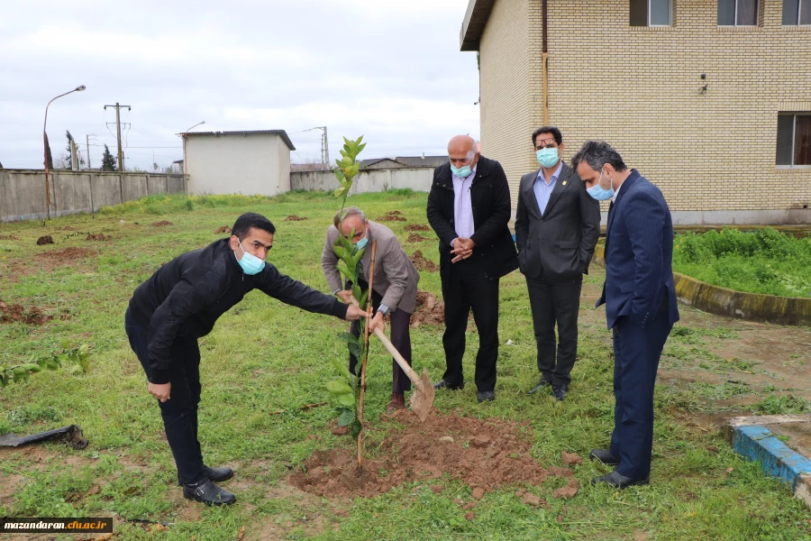 کاشت 26 اصله نهال به نام 26 شهید دانشگاه فرهنگیان- پردیس دکتر شریعتی ساری به مناسبت روز درختکاری 3