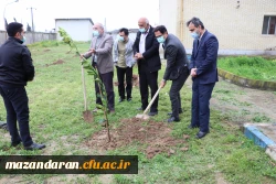 کاشت 26 اصله نهال به نام 26 شهید دانشگاه فرهنگیان- پردیس دکتر شریعتی ساری به مناسبت روز درختکاری 6