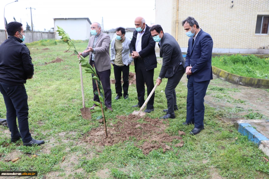 کاشت 26 اصله نهال به نام 26 شهید دانشگاه فرهنگیان- پردیس دکتر شریعتی ساری به مناسبت روز درختکاری 6