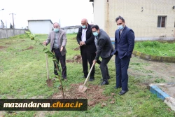 کاشت 26 اصله نهال به نام 26 شهید دانشگاه فرهنگیان- پردیس دکتر شریعتی ساری به مناسبت روز درختکاری 5