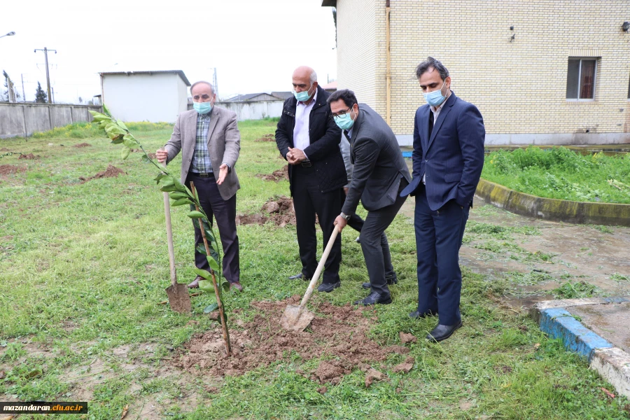 کاشت 26 اصله نهال به نام 26 شهید دانشگاه فرهنگیان- پردیس دکتر شریعتی ساری به مناسبت روز درختکاری 5