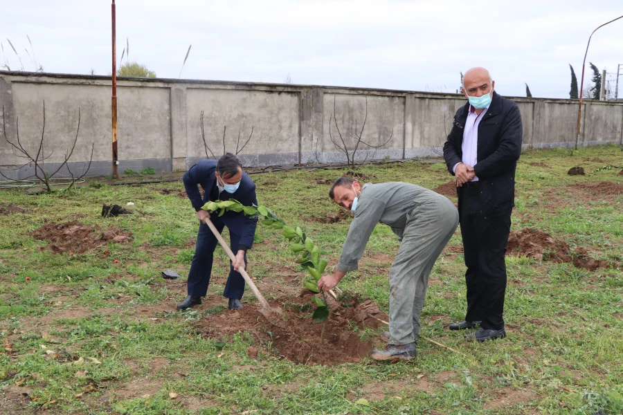 کاشت 26 اصله نهال به نام 26 شهید دانشگاه فرهنگیان- پردیس دکتر شریعتی ساری به مناسبت روز درختکاری 7