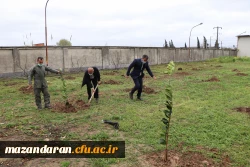 کاشت 26 اصله نهال به نام 26 شهید دانشگاه فرهنگیان- پردیس دکتر شریعتی ساری به مناسبت روز درختکاری 8