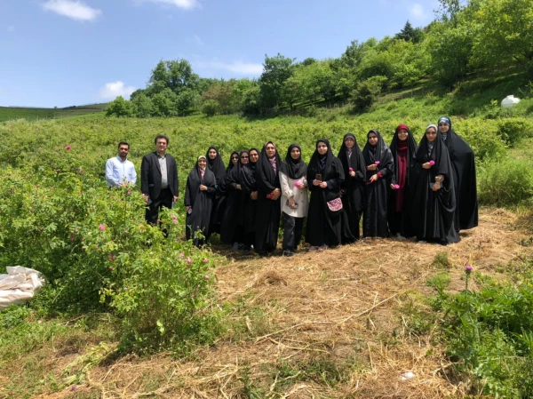 اردوی جشنواره گلاب گیری دودانگه ساری 3