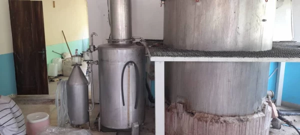 اردوی جشنواره گلاب گیری دودانگه ساری 6