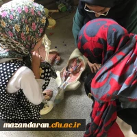 اردوی جهادی (آموزشی،فرهنگی،عمرانی و خیریه) در روستاهای کردمیر و اراء (منطقه ی چهاردانگه)  3