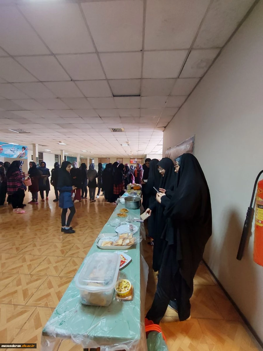 برگزاری جشنواره بومی محلی به مناسبت روز مازندران 3