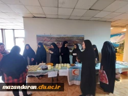 برگزاری جشنواره بومی محلی به مناسبت روز مازندران 5