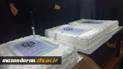 -33743104_-1184441597