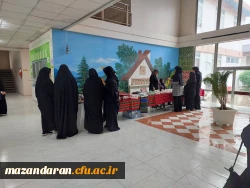 برگزاری نمایشگاه صنایع دستی به مناسبت هفته سراها 4