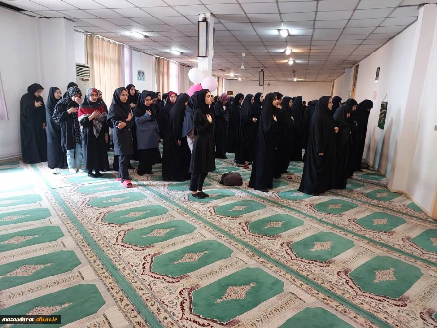 جشن میلاد هشتمین اختر تابناک امامت و ولایت 3