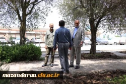 زیبا سازی و بازسازی دوره ای فضای سبز پردیس دکتر شریعتی 3