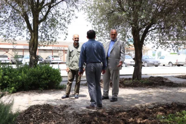 زیبا سازی و بازسازی دوره ای فضای سبز پردیس دکتر شریعتی 3