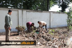 زیبا سازی و بازسازی دوره ای فضای سبز پردیس دکتر شریعتی 4