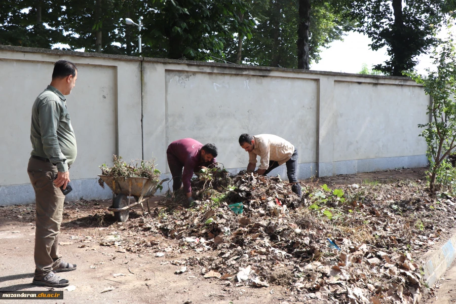 زیبا سازی و بازسازی دوره ای فضای سبز پردیس دکتر شریعتی 4