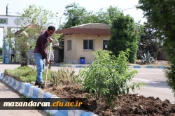 زیبا سازی و بازسازی دوره ای فضای سبز پردیس دکتر شریعتی 5