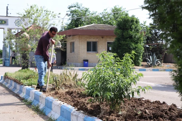 زیبا سازی و بازسازی دوره ای فضای سبز پردیس دکتر شریعتی 5