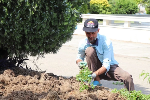 زیبا سازی و بازسازی دوره ای فضای سبز پردیس دکتر شریعتی 6